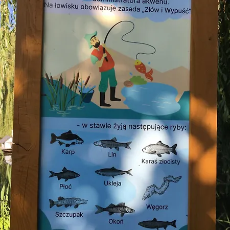 Diuna 365 Дом отдыха